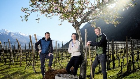 Famille Rouvinez, Caves Orsat, Imesch Vins